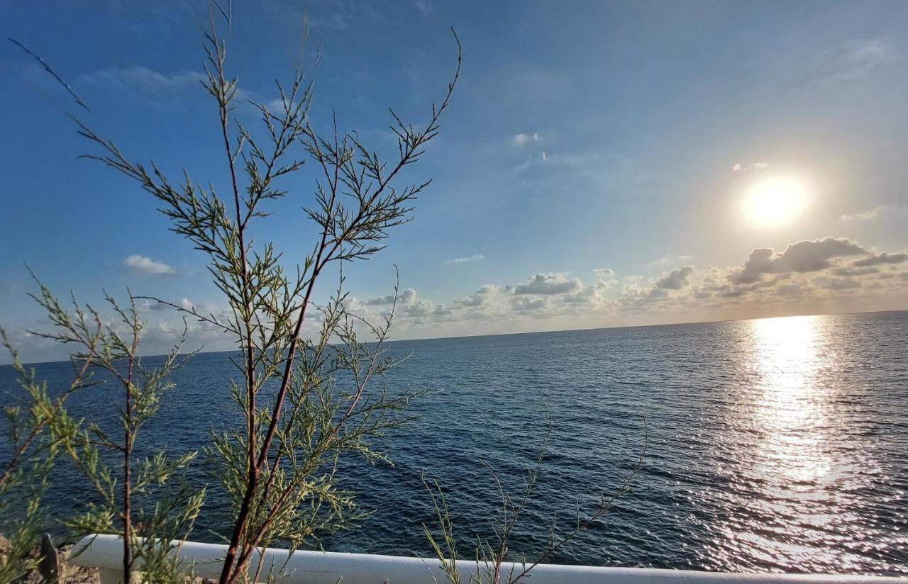 B&B Il Gabbiano Cittadella del Capo Dış mekan fotoğraf